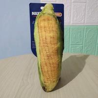 Gambar Corn Plush Toys - Mainan gigitan anjing puppy dari Puppi Qube Store Kota Administrasi Jakarta Barat 2 Tokopedia