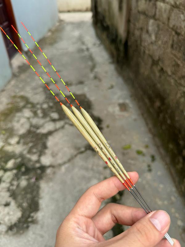  Phao câu đài Phao cỏ mốc chuyên rô phi diếc diêu hồng Câu Cá Bắt Cá Fishing 