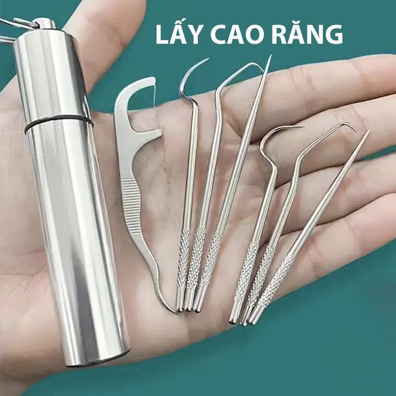 Bộ Dụng Cụ Làm Sạch Răng Miệng Bằng Inox Có Ống Đựng Inox Tiện Lợi 0