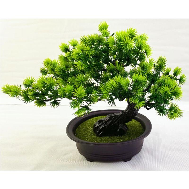 Cây Thông Bonsai giả kèm Chậu cây Tùng bonsai nhựa size 30cm làm tiểu cảnh để bàn trang trí nội thất cực đẹp giống thật