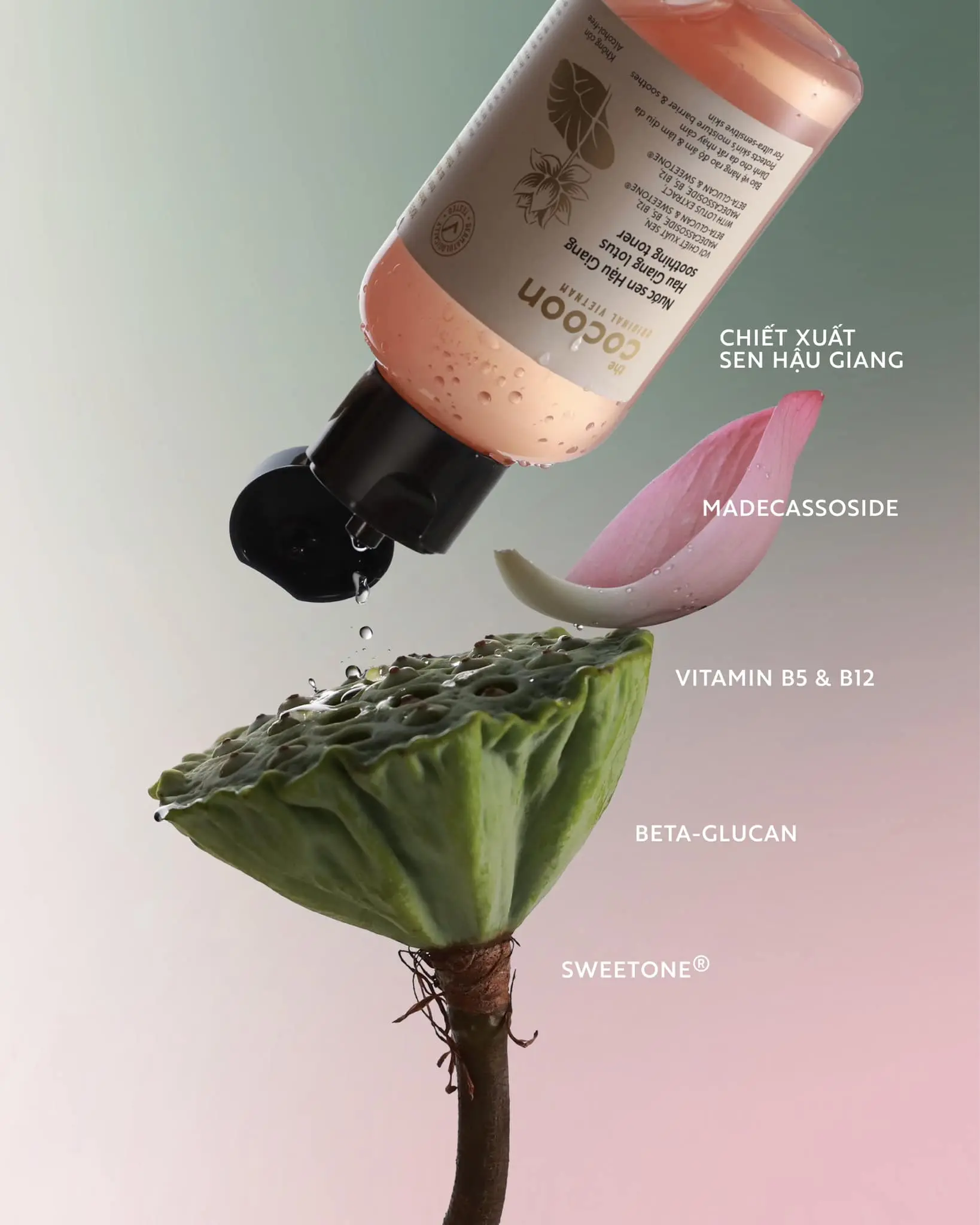 Bigsize - Nước sen Hậu Giang (toner / nước cân bằng) Cocoon giúp phục hồi đa nhiệm cho da rất nhạy cảm 310ml