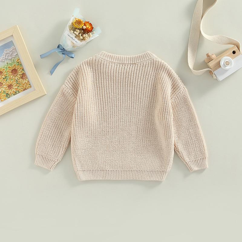 Product Introduction of Toddler Baby Round Neck Sweaters, Long Sleeve Solid Color Loose Knitted Pullovers 53