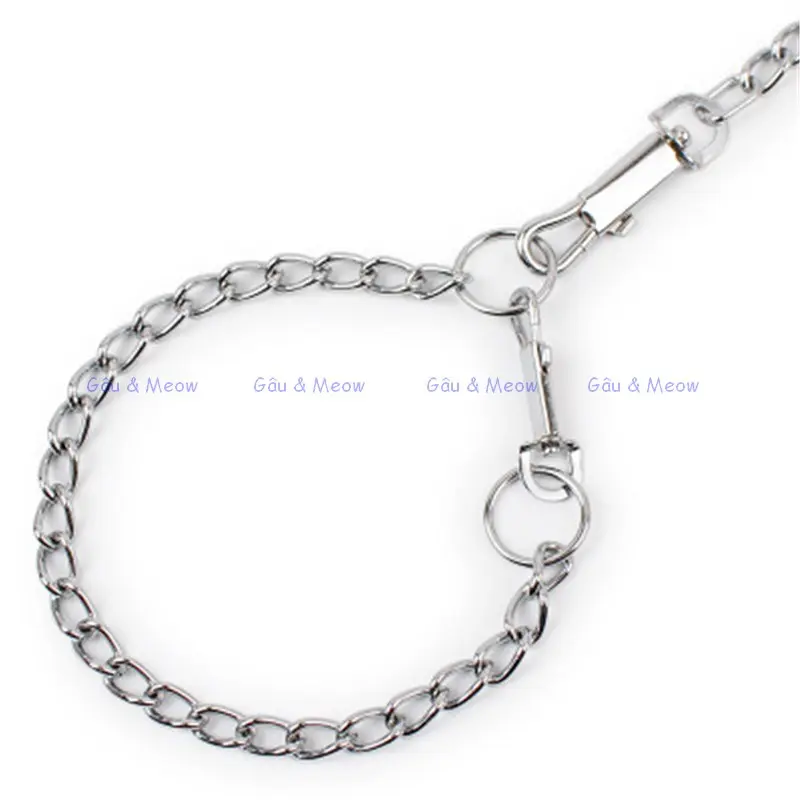 Bộ dây dắt dây xích chó mèo bằng sắt nhiều size dài 1m2 - có vòng cổ 5