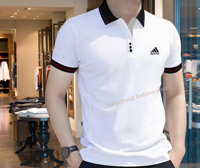 Áo thun Nam Cổ bẻ áo POLO thêu cổ chuẩn đẹp vải mềm mịn chất lượng 4 màu năm 2025