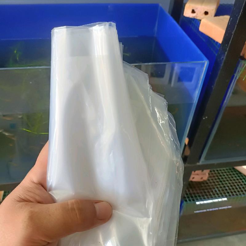 Bọc nilon đựng lóc Red Bun kích thước 5-6 bọc đựng cá lóc nữ hoàng