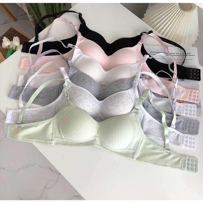 [Combo 3 Áo Tăng 1 Size] Áo Lót Nữ, Áo Ngực Cotton Không Gọng, Áo Ngực Mút Mỏng Dành Cho Học Sinh