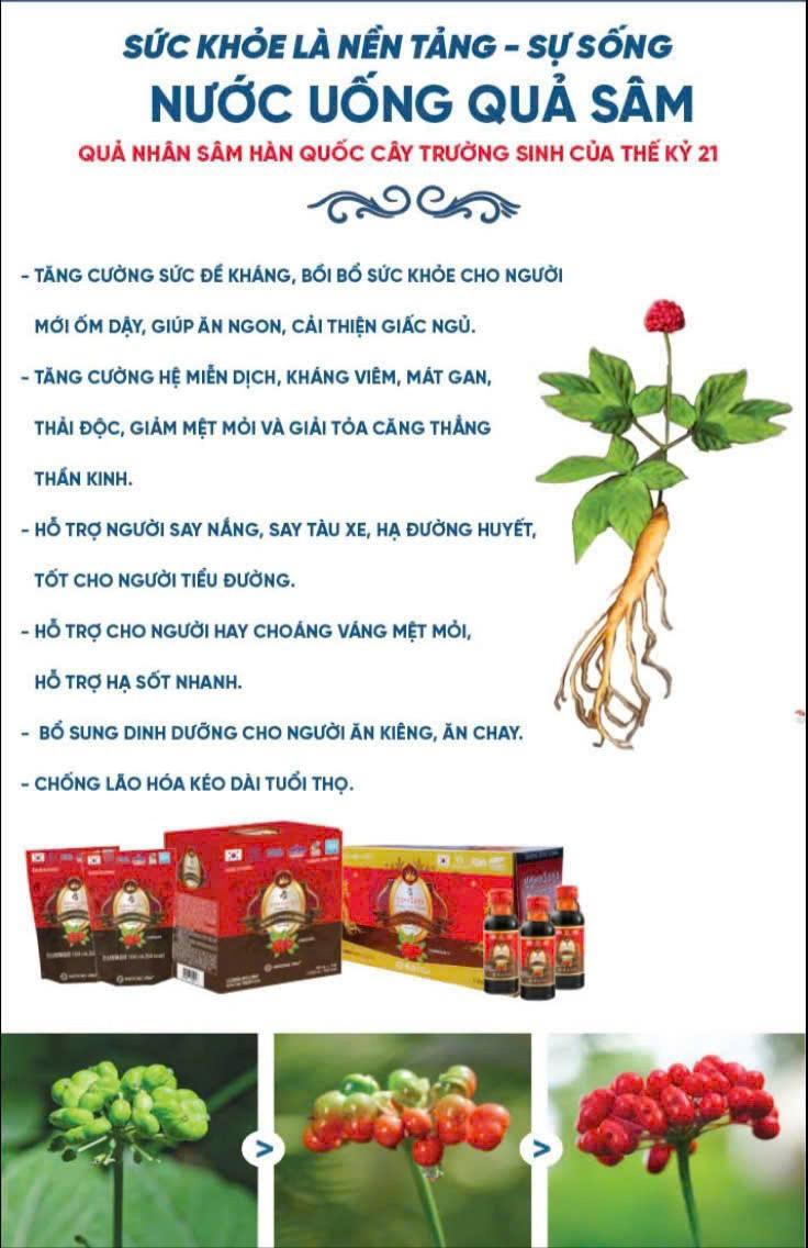 Product Introduction of (Mua 1 Tặng 2 ) Nước uống Quả Sâm Hàn Quốc HAESONG VINA (dạng gói) - Chiết xuất từ Quả nhân Sâm và táo đỏ Hàn Quốc, 10 gói/hộp (Mua 1hộp Nước uống Quả sâm gói tặng 1chai Nước GIẶT XẢ lozzi 200g và 1chai dung dịch vệ sinh Nanotech ) 15
