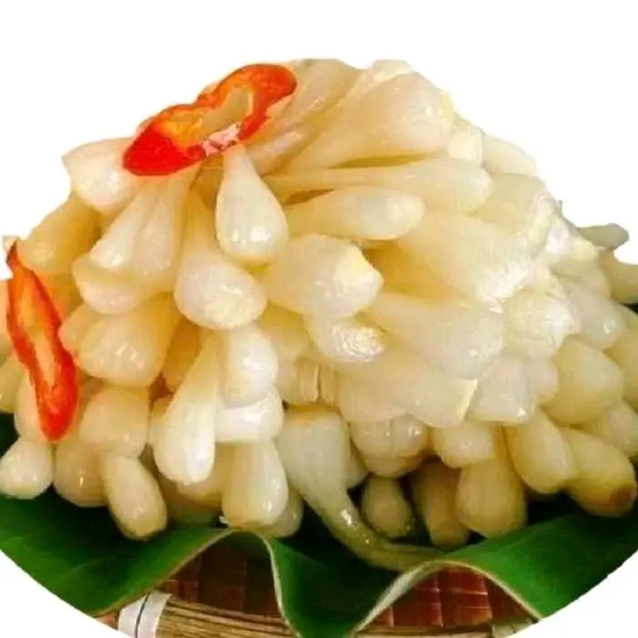 CỦ KIỆU NGÂM ĐƯỜNG CHUA NGỌT (hủ)