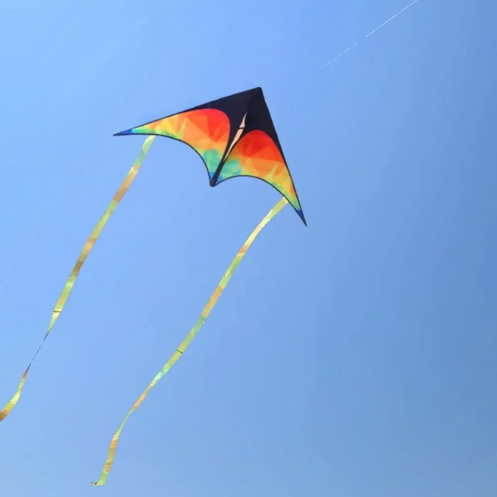 New Double-tailed Large Delta Kite Good Flying with 50 Meter Line Children‘s Kite Long Tail Easy to Fly Kite Outdoor Sports