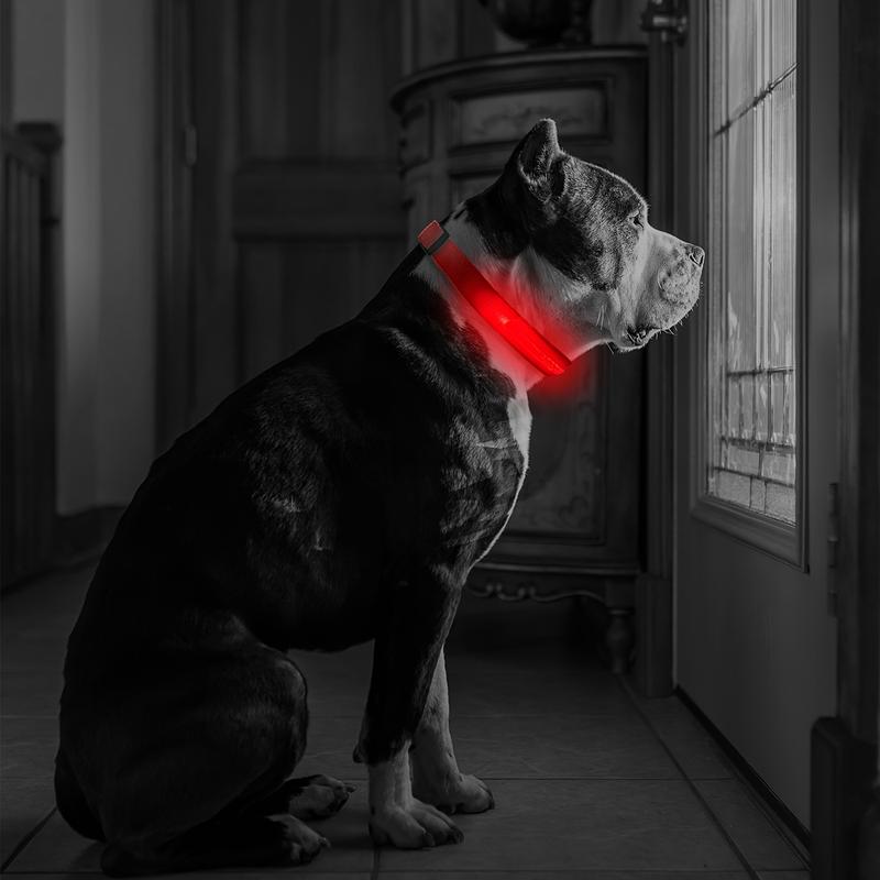 Product Introduction of LED luminous pet collar, suitable for small and medium-sized dogs - keep your pet safe and visible during nighttime walks, slightly waterproof 11