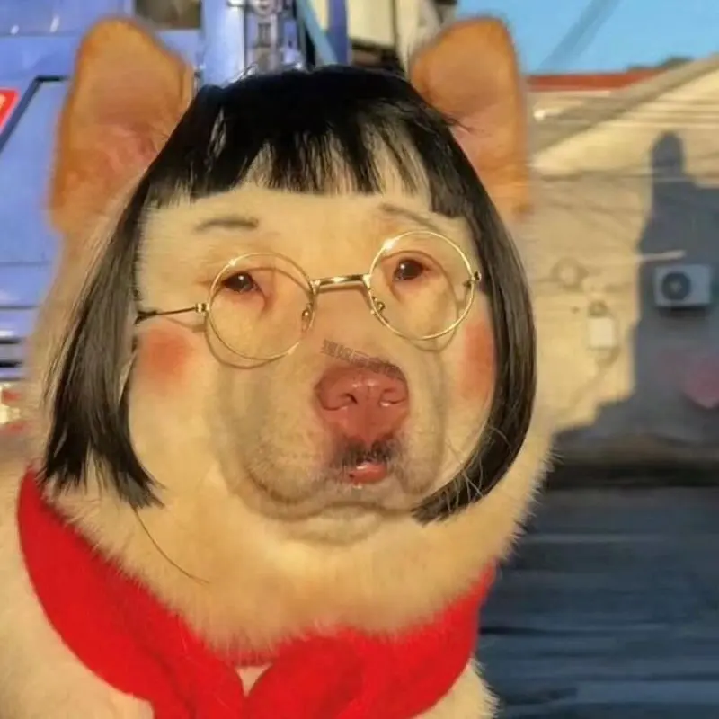 Rambut Palsu Haiwan Peliharaan, Rambut Palsu Lucu, untuk Kucing ...