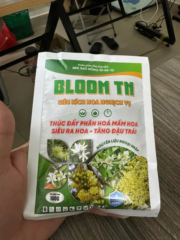 BLOOM TN -kích hoa nghịch vụ - phân hóa mầm hoa phân  bón 2
