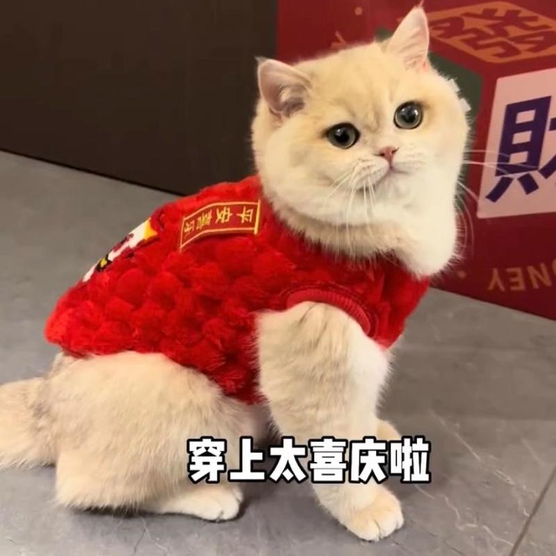 Product Introduction of [ 67k Positive Reviews] Cat New Year Clothes Red Festive Ragdoll Blue Cat Golden Shaded Autumn Winter Warm Fleece Pet Dog New Year Outfit 3