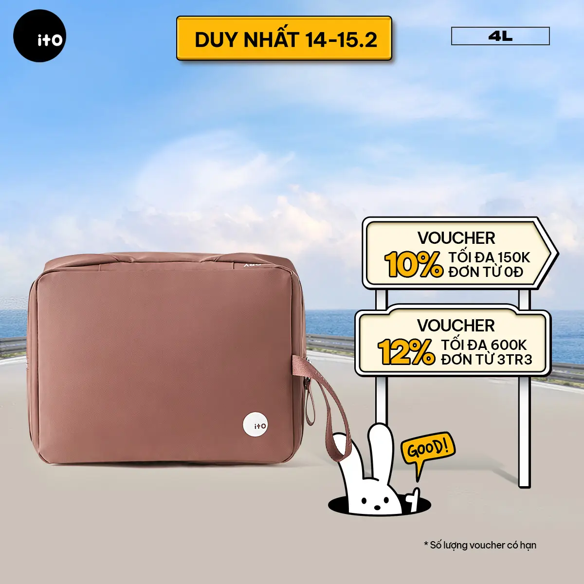 Túi đựng đồ du lịch ITO Matte Mushroom Organizer 4L