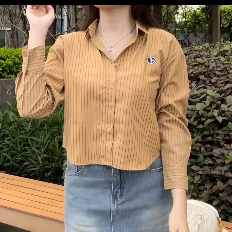 Mẫu sơ mi tay dài croptop thuê hình thông thường 4