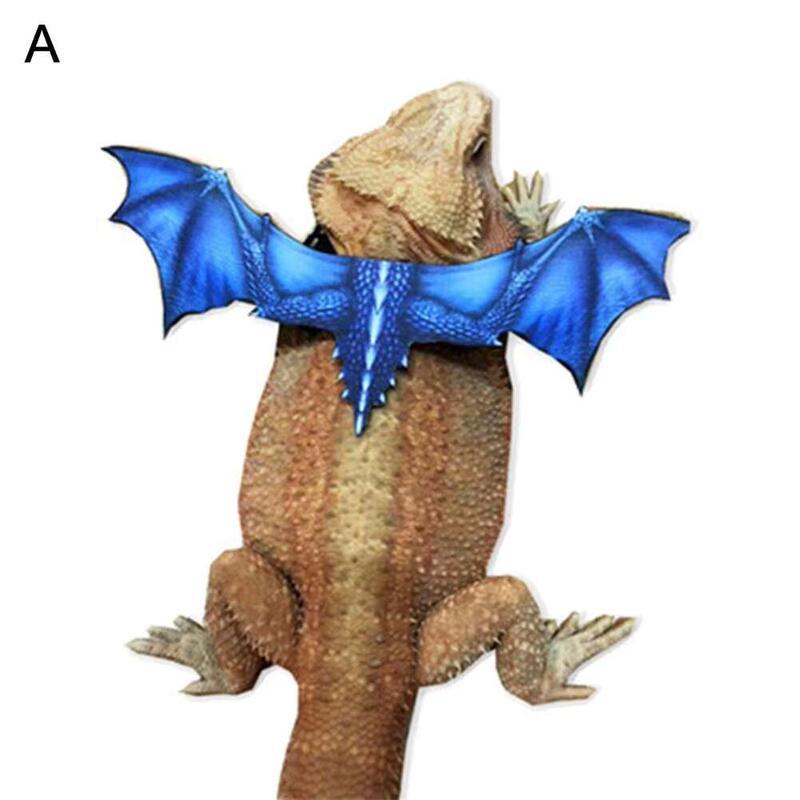 Product Introduction of Reptile Lizard Leash Adjustable Anti-Bite Wings Flexible Comfortable Bearded Dragon Harness Small Animal Clothes Supplies 21