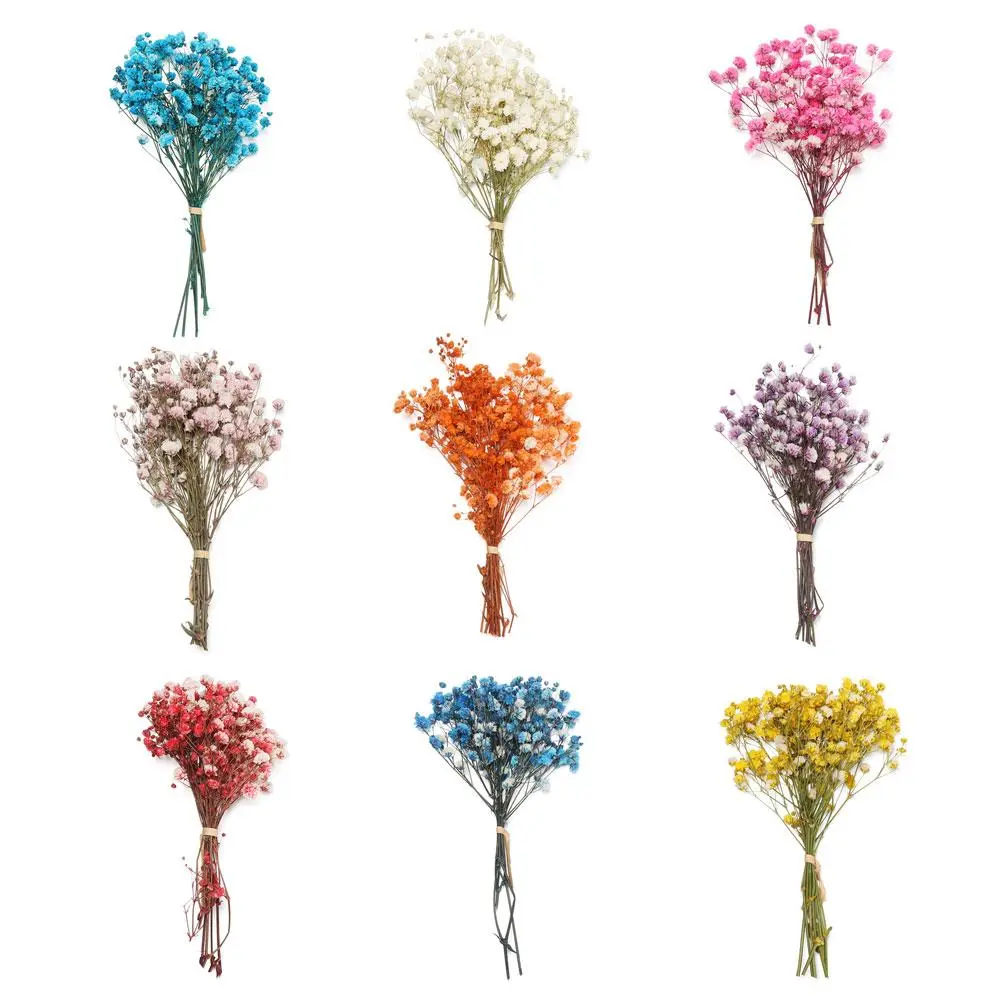 Hoa Cỏ Babysbreath Mini, Hoa Thật, Hoa Tự Nhiên Khô, Đồ Trang Trí Nhà Cửa, Đạo Cụ Chụp Ảnh, Thân Cây, Bó Hoa Khô Tự Nhiên