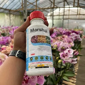 Pupuk lelang waktu live langsung co