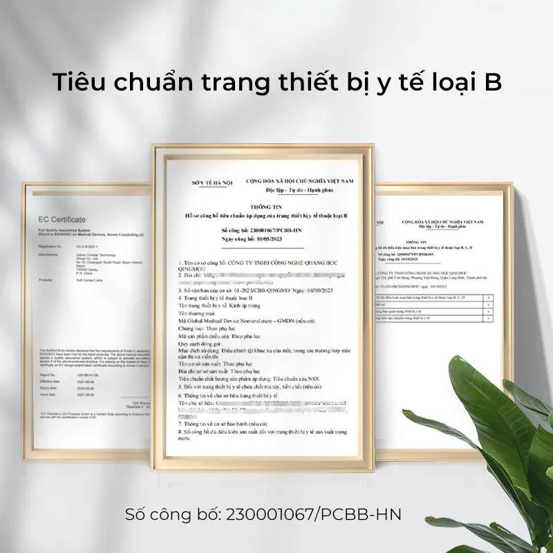 Lens kính áp tròng Fresh Lady được 6 sản phẩm màu nâu xám đen 6 tháng 0 độ làm cho đôi mắt to hơn  nửa năm 5