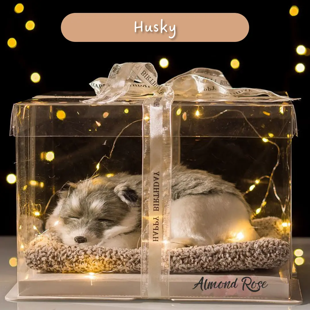 HUSKY - Boneka Bambu Arang Hadiah Boneka Tidur Hampers Hadiah Anniversarry Hadiah Pacar Set Hadiah Cewek Cowok Set Hadiah Cowok Cewek HADIAH KUCING HADIAH ANJING BONEKA LUCU GEMOY Bubble Dolls