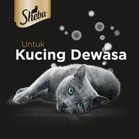 Gambar Sheba Pouch Makanan Kucing Premium Basah 70 gr Multivariant - Isi 6 Makanan Kucing dari Whiskas Indonesia Kota Tangerang 5 Tokopedia