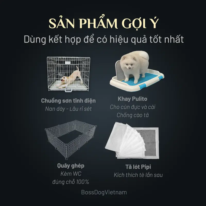 Khay vệ sinh cho chó (Full box có tường và cột) | BossDog 5