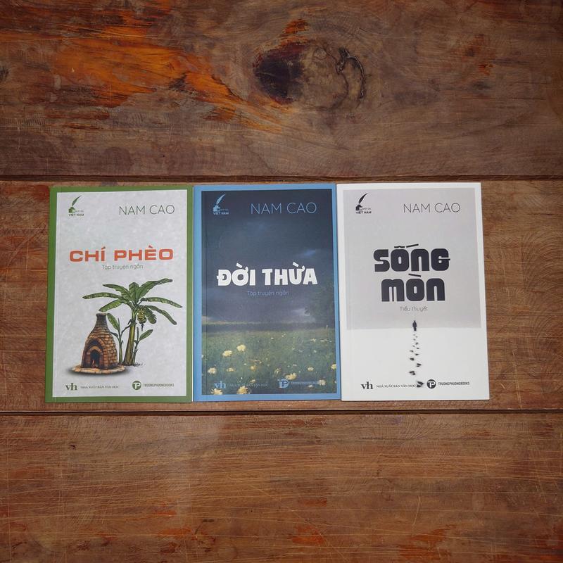 Product Introduction of Trường Phương Books - Hai Đứa Trẻ - Thạch Lam - Sách văn học Việt Nam 14