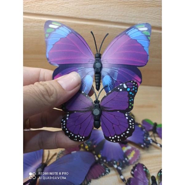 stiker 3d kupu kupu isi 12 1