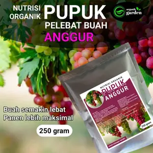 pupuk pelebat buah ANGGUR | booster nutrisi organik 250 gram Tanaman Tanah
