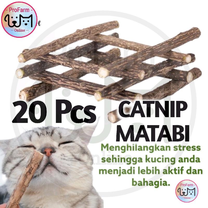 20 PCS Catnip Stick Snack Kucing Kayu Catmint | Cemilan Mainan Kucing Natural | Matabi Cat Toys 1