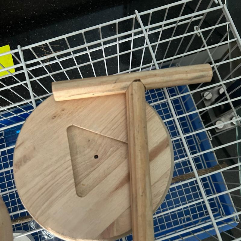 Cầu gỗ đứng cao 20cm cho vẹt 1