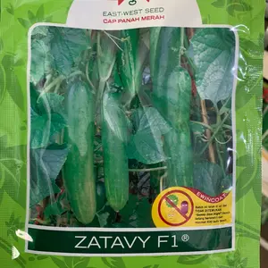 Benih Mentimun Hibrida F1 ZATAVY F1 20Gr