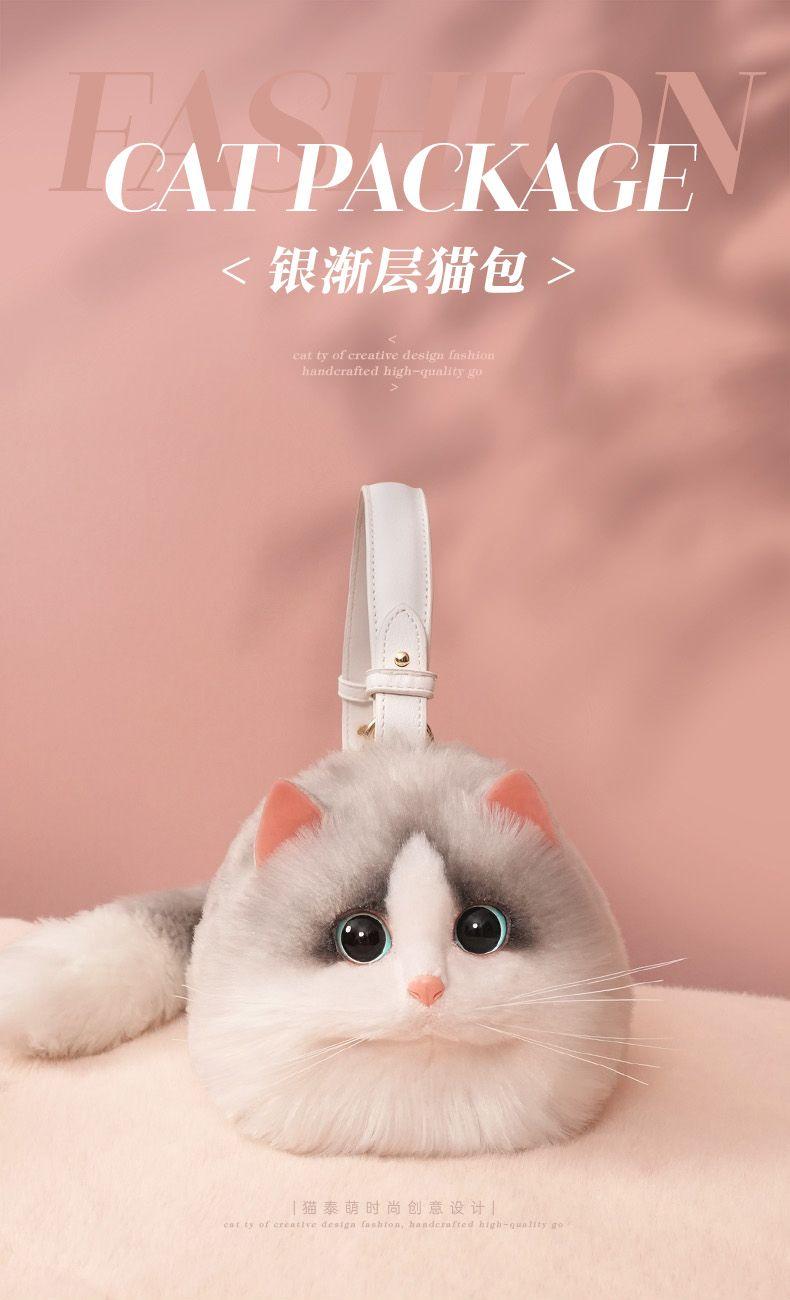 Product Introduction of This Year's Popular Bag Small Bag Niche 2022 Super Hot All-Match Western Style Mobile Phone Bag New Internet Celebrity Chain Messenger Bag 1