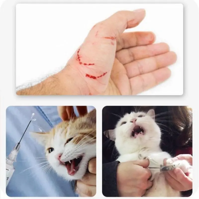 Pelindung Kepala Kucing/Pelindung Kepala Kucing Penutup Kucing Anti Gigitan/Perawatan dan Perawatan 8