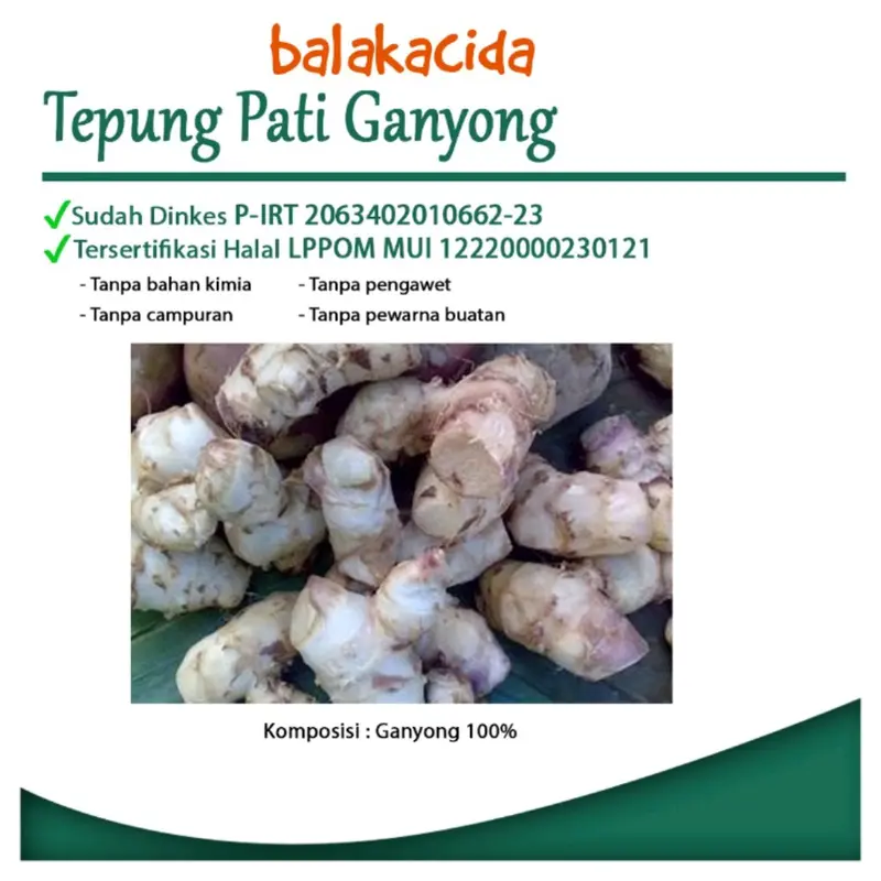 tepung ganyong asam lambung terapi maagh dan gred tepung pati ganyong 500 gram  Dewasa 2