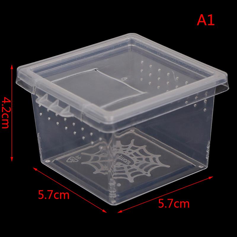 Product Introduction of Plastic Insect Spider Habitat Feeding Box Case Container Tank Transport Case Toy 18