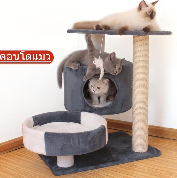 Product Introduction of Ready to ship 2-story cat condo, cat climbing frame ‼️ Cat condo, cat scratching post, cat bed, cat toys, cheap cat condo # P122. 17