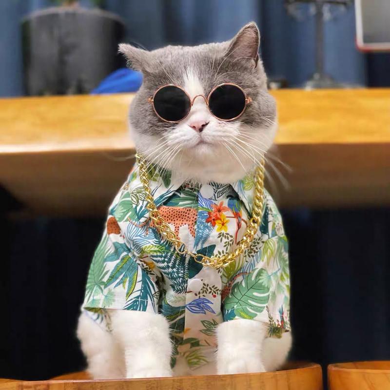 Cat Shirt Summer Thin Floral Internet Celebrity Blue and White Cat Anti-Shedding Clothes Ragdoll Schnauzer Dog Small Breed 1