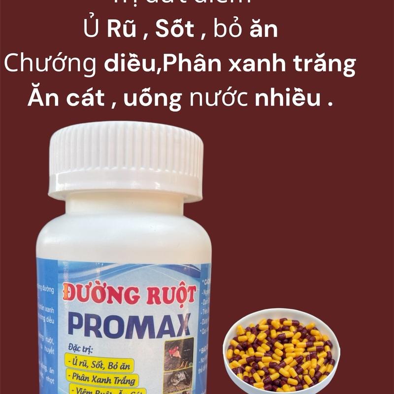 Đường ruột promax cho gà đá - Dòng sản phẩm đường ruột chất lượng