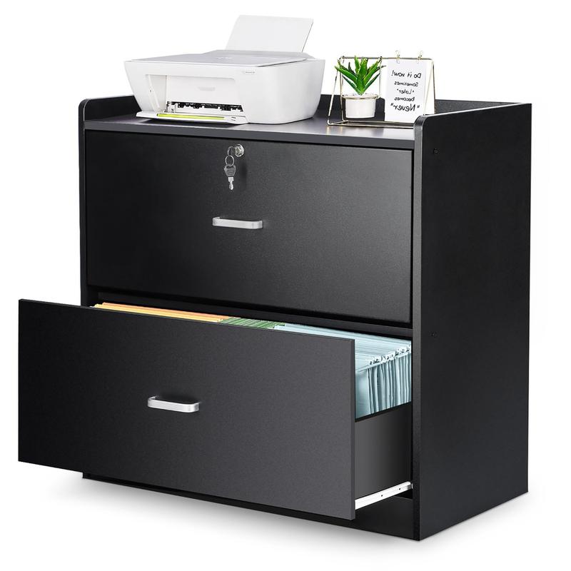 New 2 Drawers Wood Lateral File Cabinet, Storage Filing Cabinet with ...