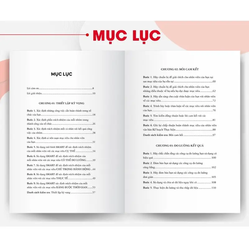 Sách Lãnh Đạo Giao Việc Đúng, Nhân Viên Làm Việc Xuất Chúng 2