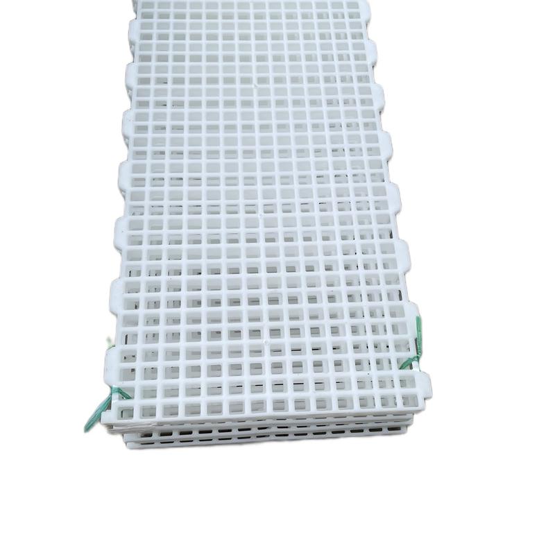  Bình Thuận Sàn nhựa cho nhà chăn nuôi kích thước 100x50cm tiện lợi dễ sử dụng cho chuồng sóc bay hamster nghỉ 