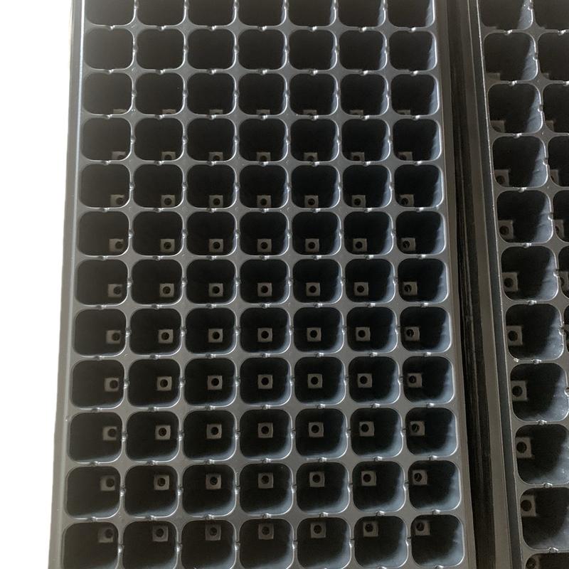 Khay ươm cây giống nhựa PVC - Tỷ lệ nảy mầm cao - Combo 10 khay ...