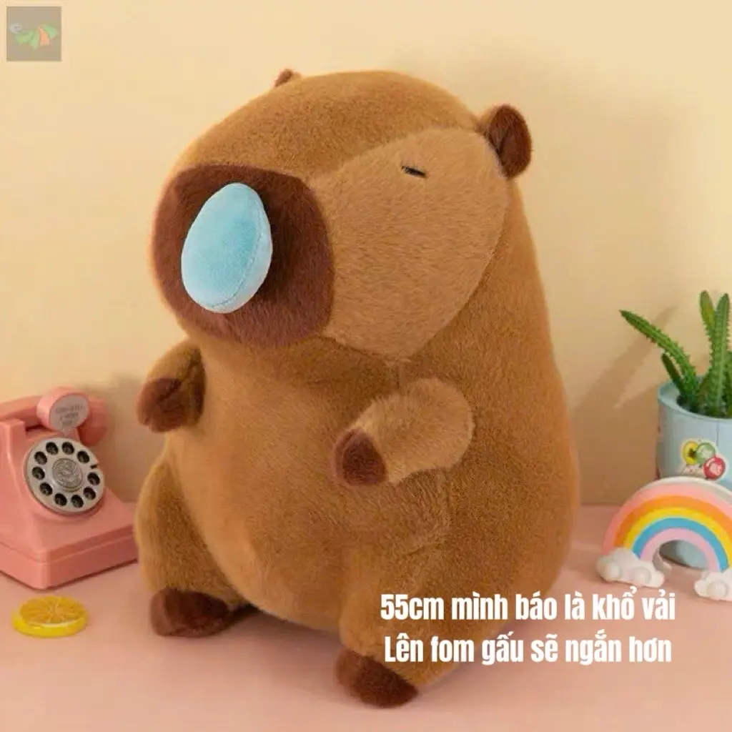 [ TANG KEM QUA] Gấu Capypara rút mũi size 55cmkhổ vải hàng chuẩn QC  Thú Nhồi Bông