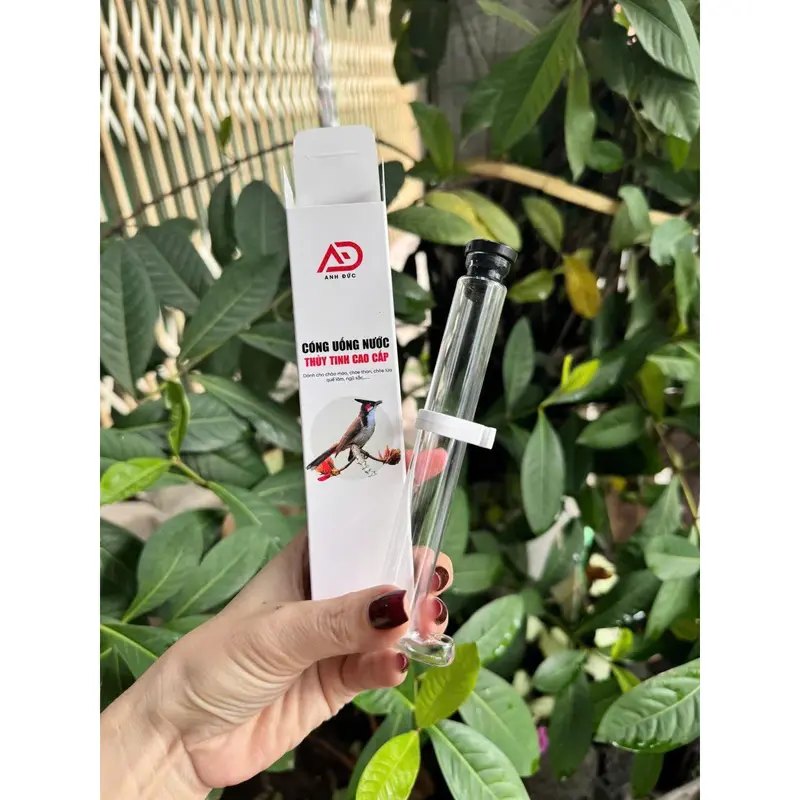 Cóng đựng nước thủy tinh cho chim cảnh - tai trắng nút đen loại tàu siêu dầy 5