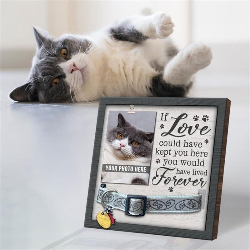 Product Introduction of Loving Message Photo Frame Pet Memorial Pictures Frame with Collar Clip for Dog Cats Lover Desktops Pictures Stand 33