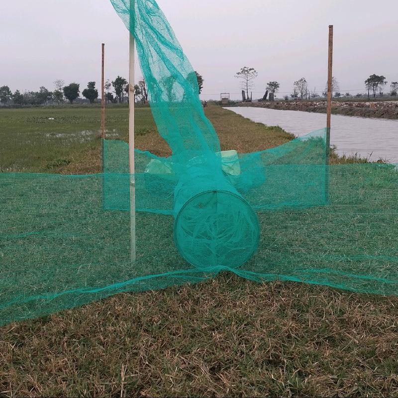Lưới bát quái 2 cửa có lỗ thở hàng loại 1 chuyên bắt tôm cua cá Bắt Cá Fishing Đi Câu Câu Cá Fish Lure