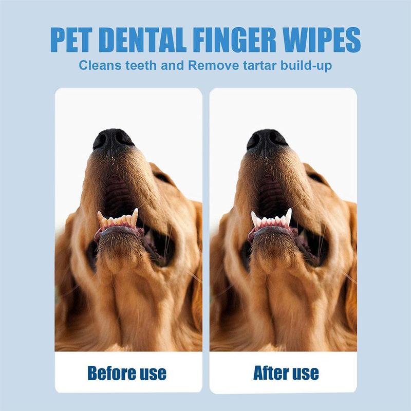 Product Introduction of Oral Care Finger Wipes for Dogs and Cats EasytoUse Pet Teeth Cleaning Solution for Fresh Breath L8B9 25