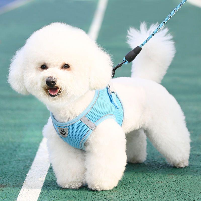 Product Introduction of Dog Leash Vest Dog Leash Small Dog Bear Teddy Special Chest Strap Dog Chain Adjustable Telescopic 5