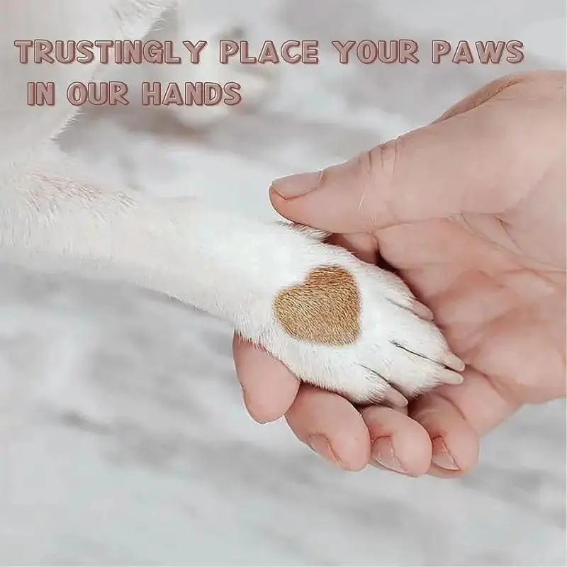 Round Pet Claw Drilling Board, 1 Set Pet Claw Care Tool, Pet Claw Drilling Board, Dogs Nails Grooming Drilling Tool, Nail File for Pets, Household Items Paw Drilling Pad, Christmas Gift 5